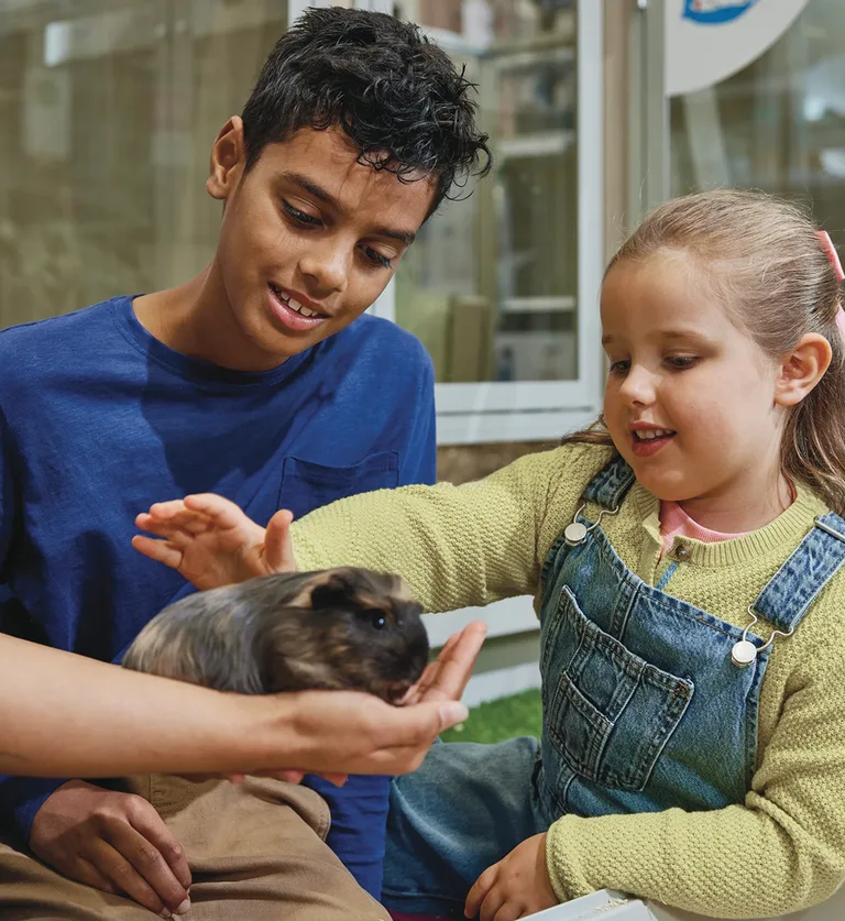 Children with a pet at the workshop
