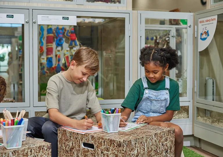 Children learning while playing with pets