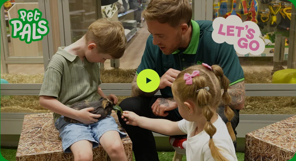 PetPals Workshop video