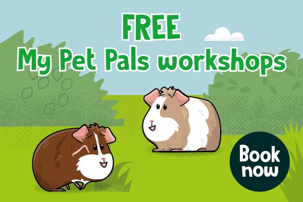 My Pet Pals – May Half Term
